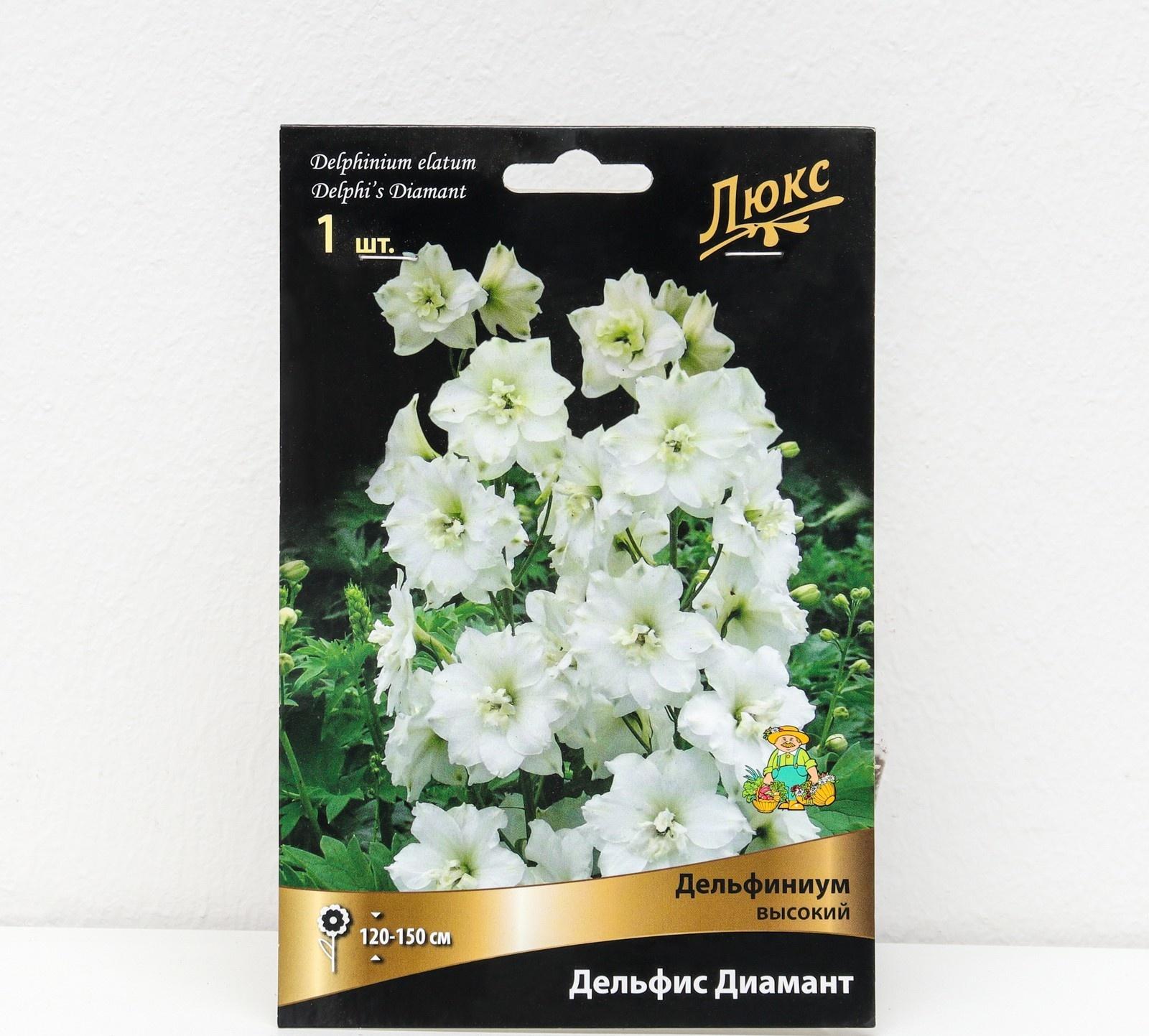 Дельфиниум 