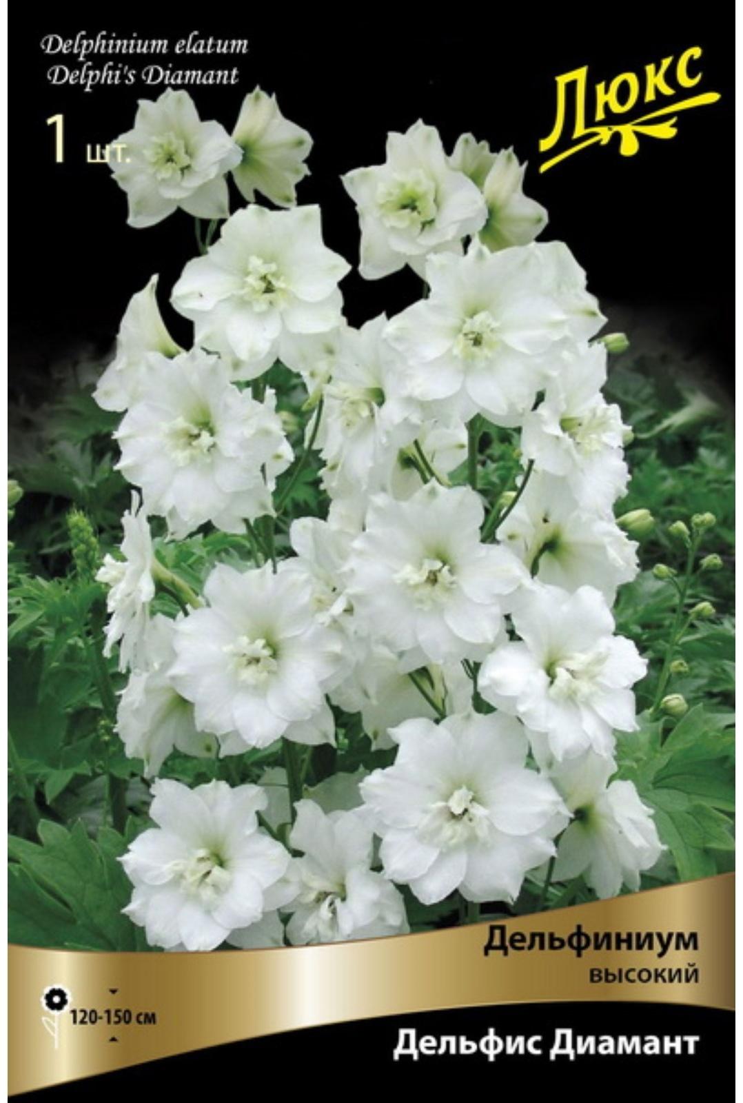 Дельфиниум 