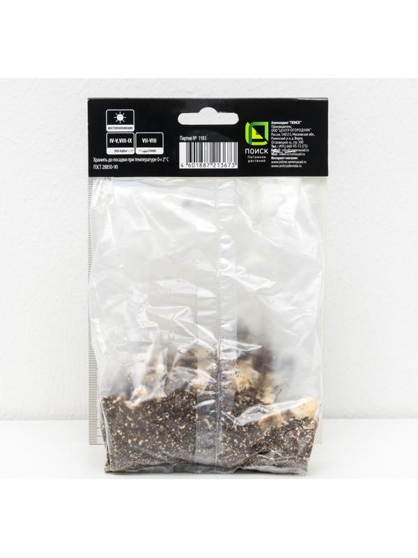 Дельфиниум 