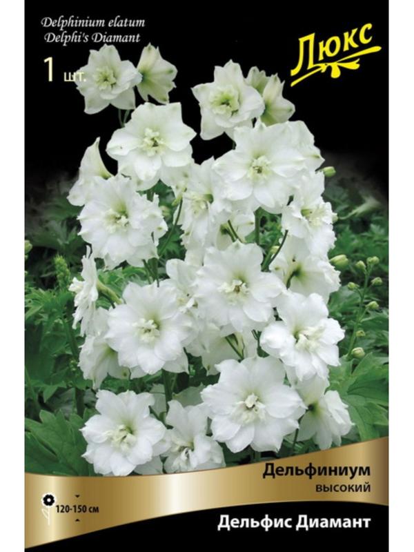 Дельфиниум 