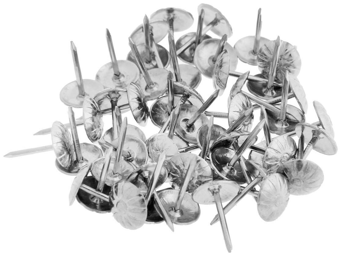 Гвозди ТУНДРА, декоративные, фактурные, 11х16 мм, хром, 50 шт