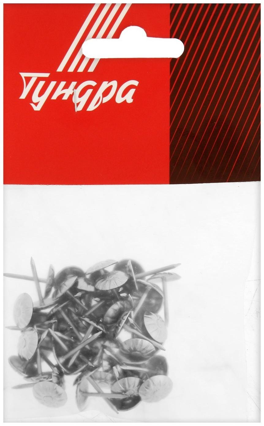 Гвозди ТУНДРА, декоративные, фактурные, 11х16 мм, хром, 50 шт