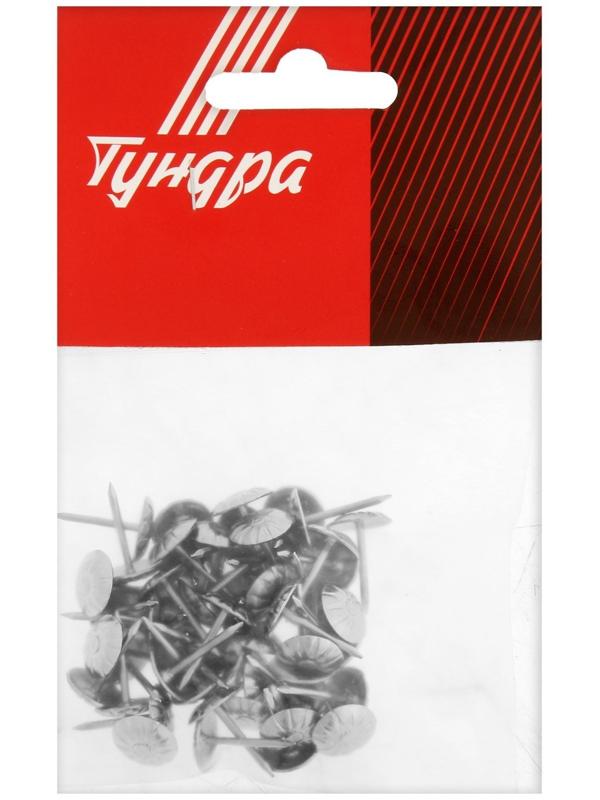 Гвозди ТУНДРА, декоративные, фактурные, 11х16 мм, хром, 50 шт