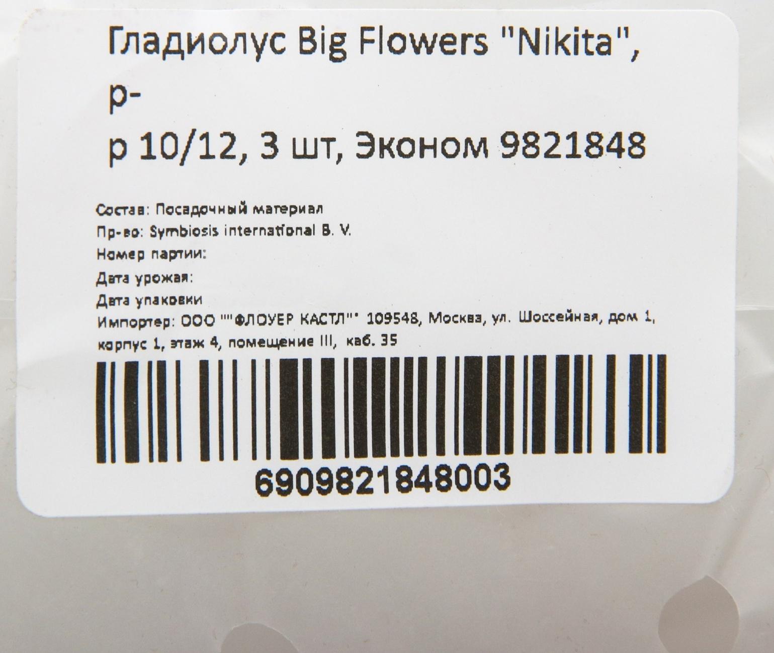 Гладиолус Big Flowers 
