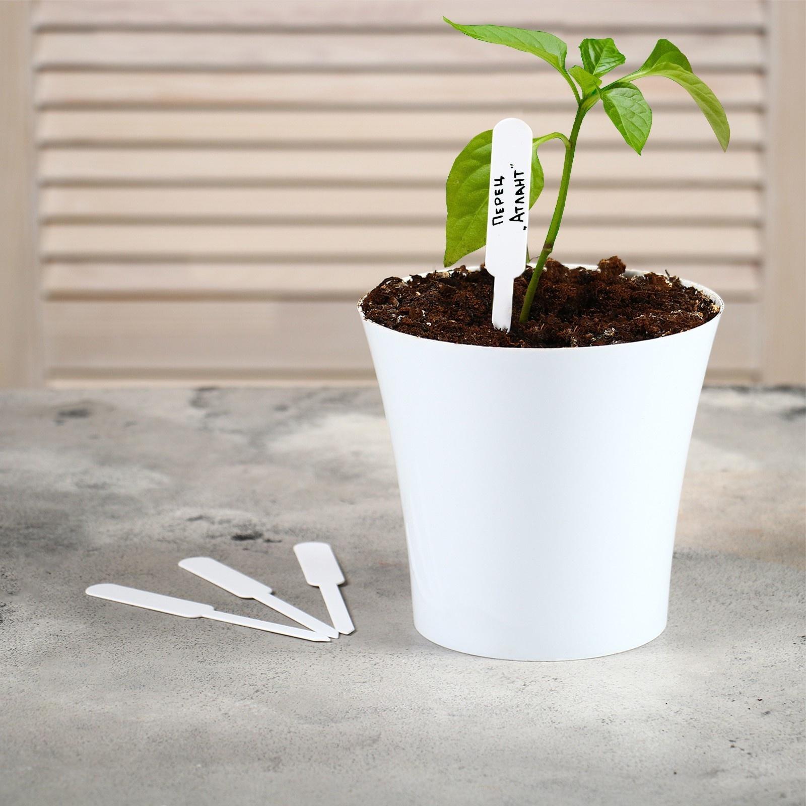 Таблички садовые для маркировки, 12 см, набор 20 шт., пластик, белые, Greengo