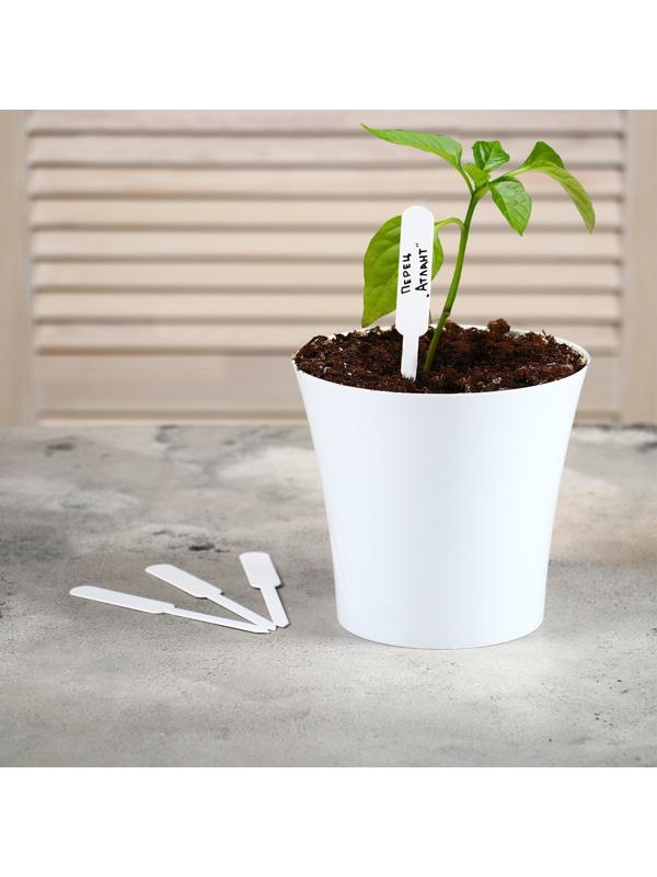 Таблички садовые для маркировки, 12 см, набор 20 шт., пластик, белые, Greengo