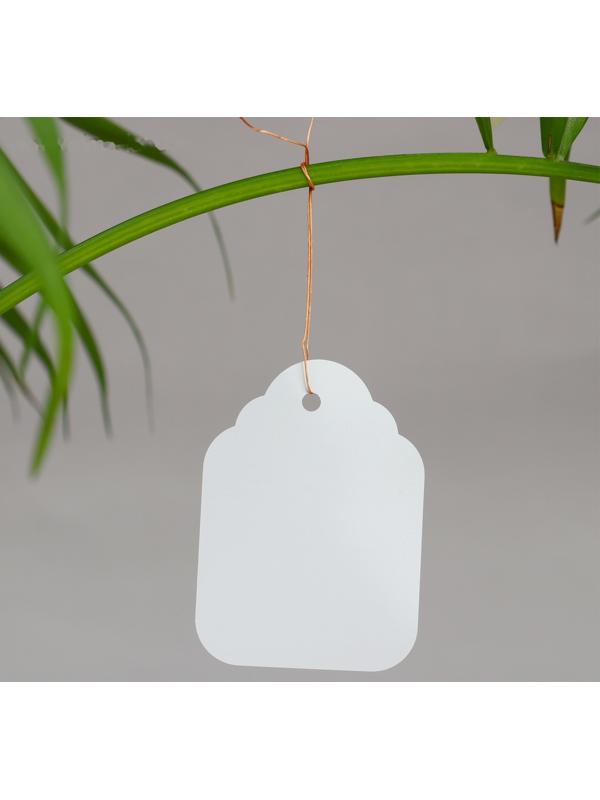 Бирки садовые для маркировки, 6,5 × 5 см, набор 20 шт., пластик, белые, Greengo