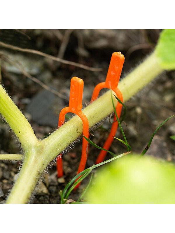 Зажим для растений, набор 20 шт., пластик, Greengo