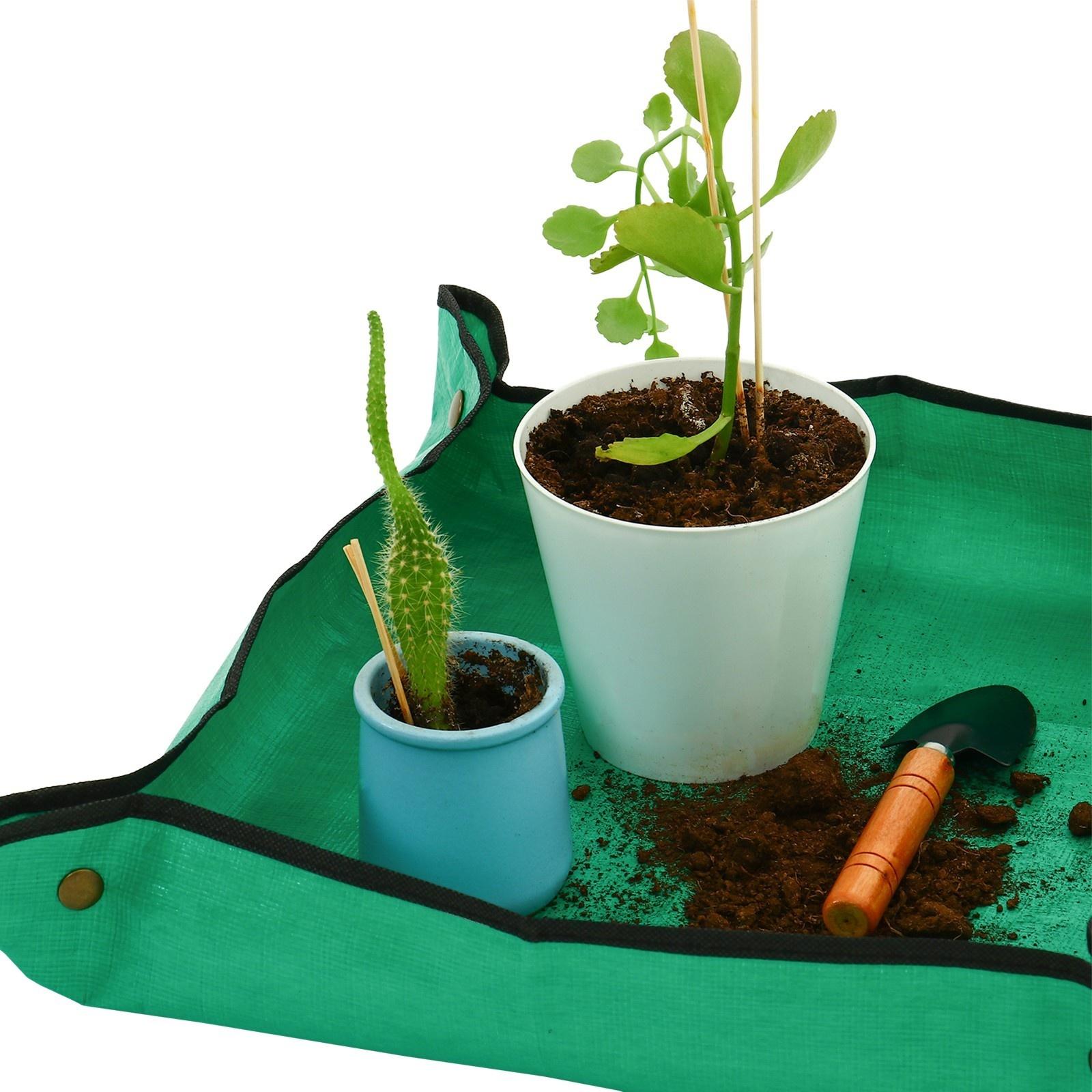 Поддон для рассады, 50 × 50 см, складной, зелёный