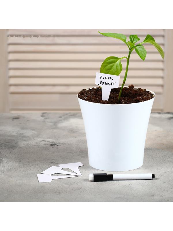 Таблички садовые для маркировки, 7 см, набор 20 шт., маркер, пластик, белые, Greengo