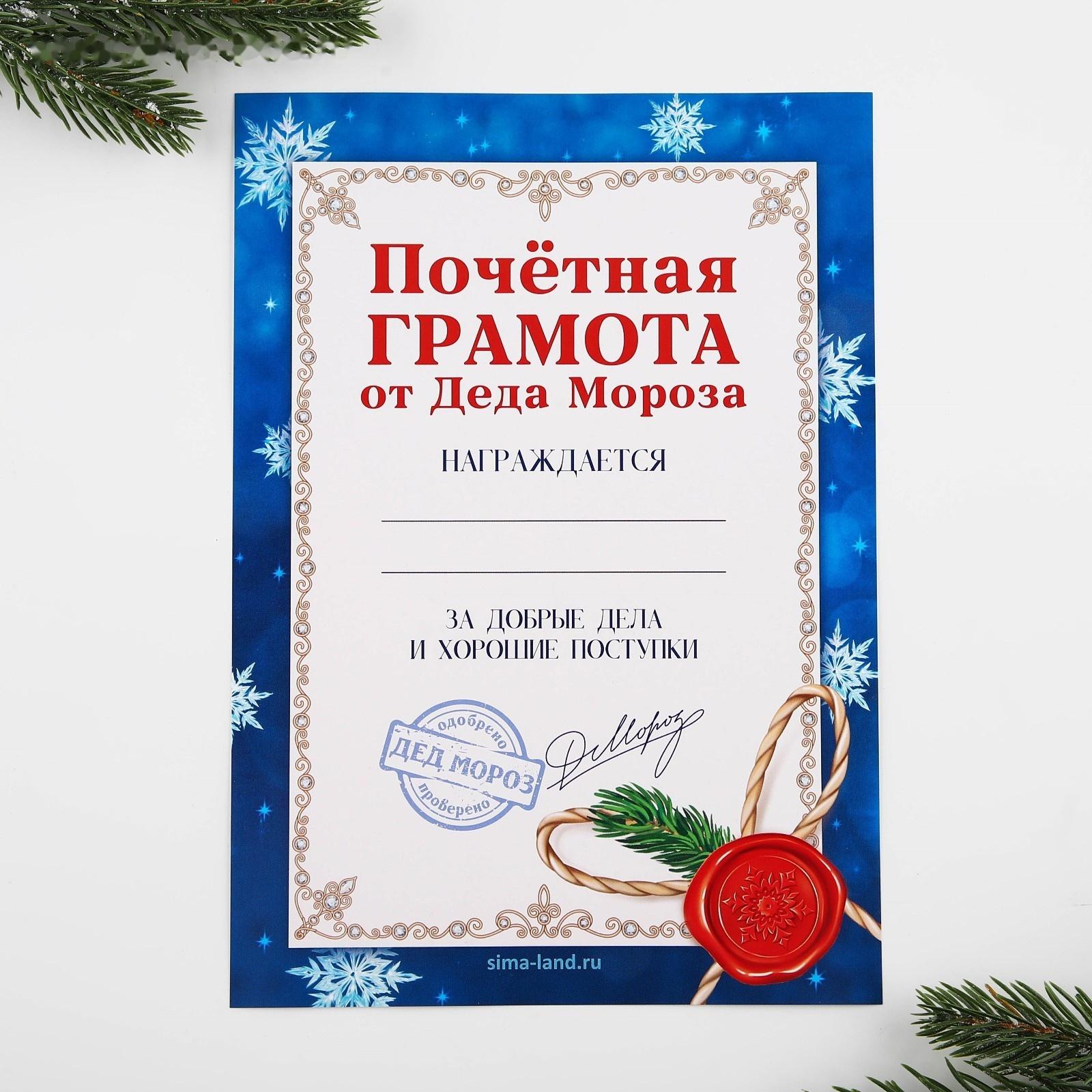 Подарочный набор: блокнот-раскраска, грамота, письмо от Дедушки Мороза «Новогодняя сказка»