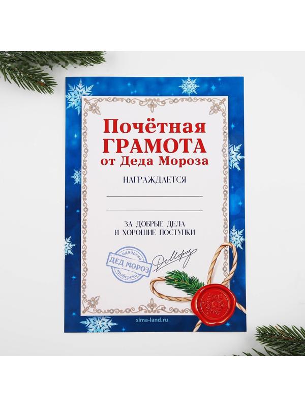 Подарочный набор: блокнот-раскраска, грамота, письмо от Дедушки Мороза «Новогодняя сказка»