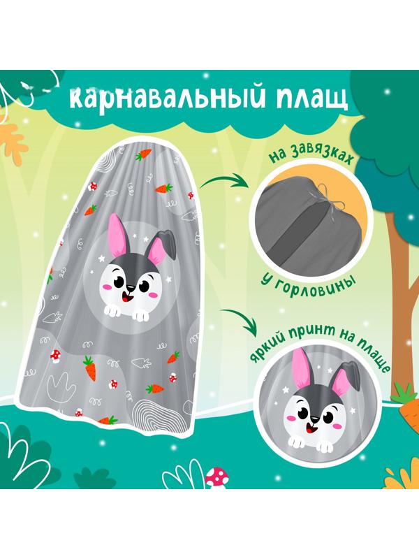 Карнавальный набор «Озорной зайка»