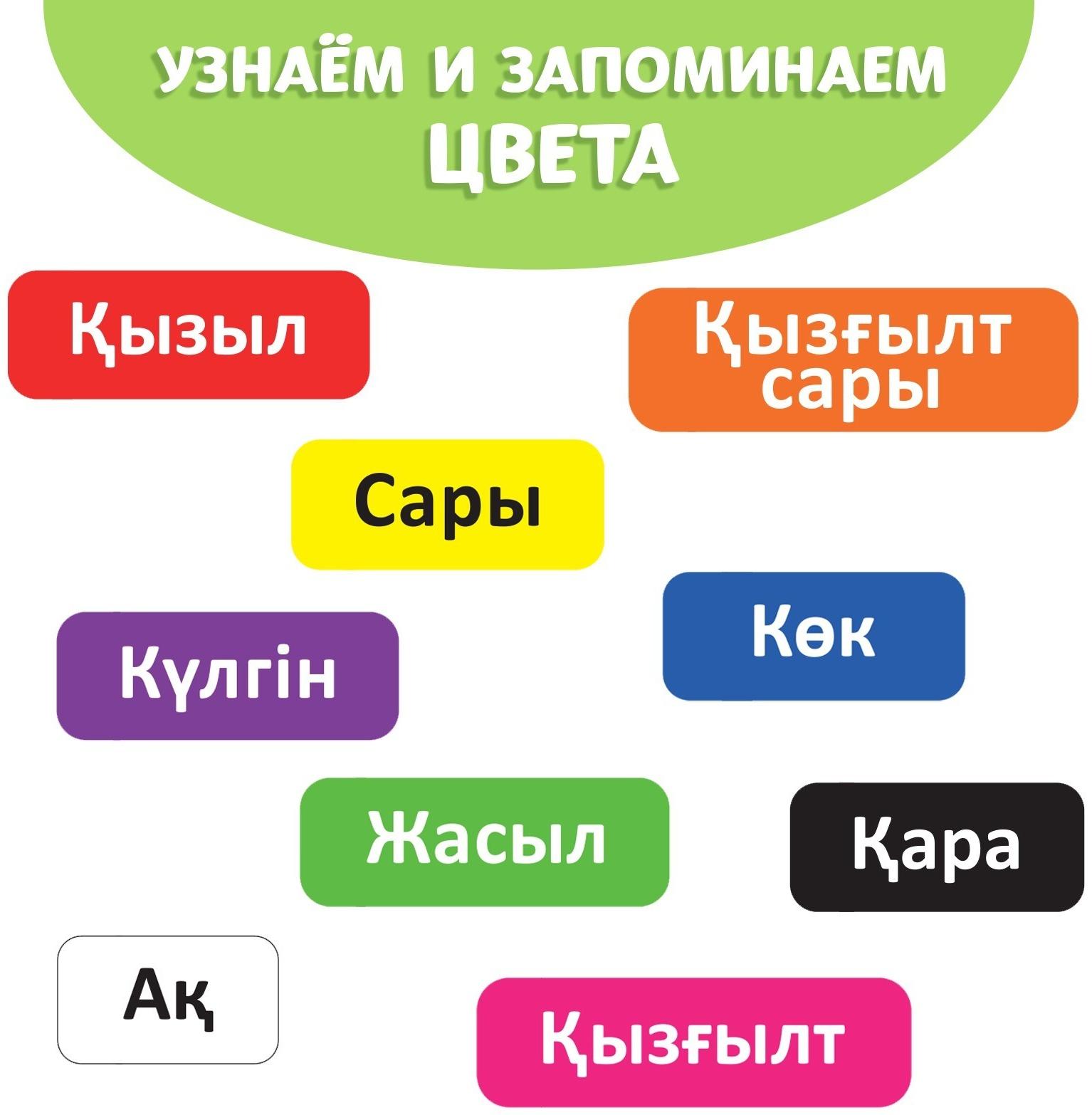 Обучающая книга «Учим цвета», казахский язык, 20 стр.