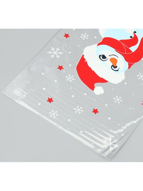 Пакет пластиковый «Снеговичок», 20 × 30 см