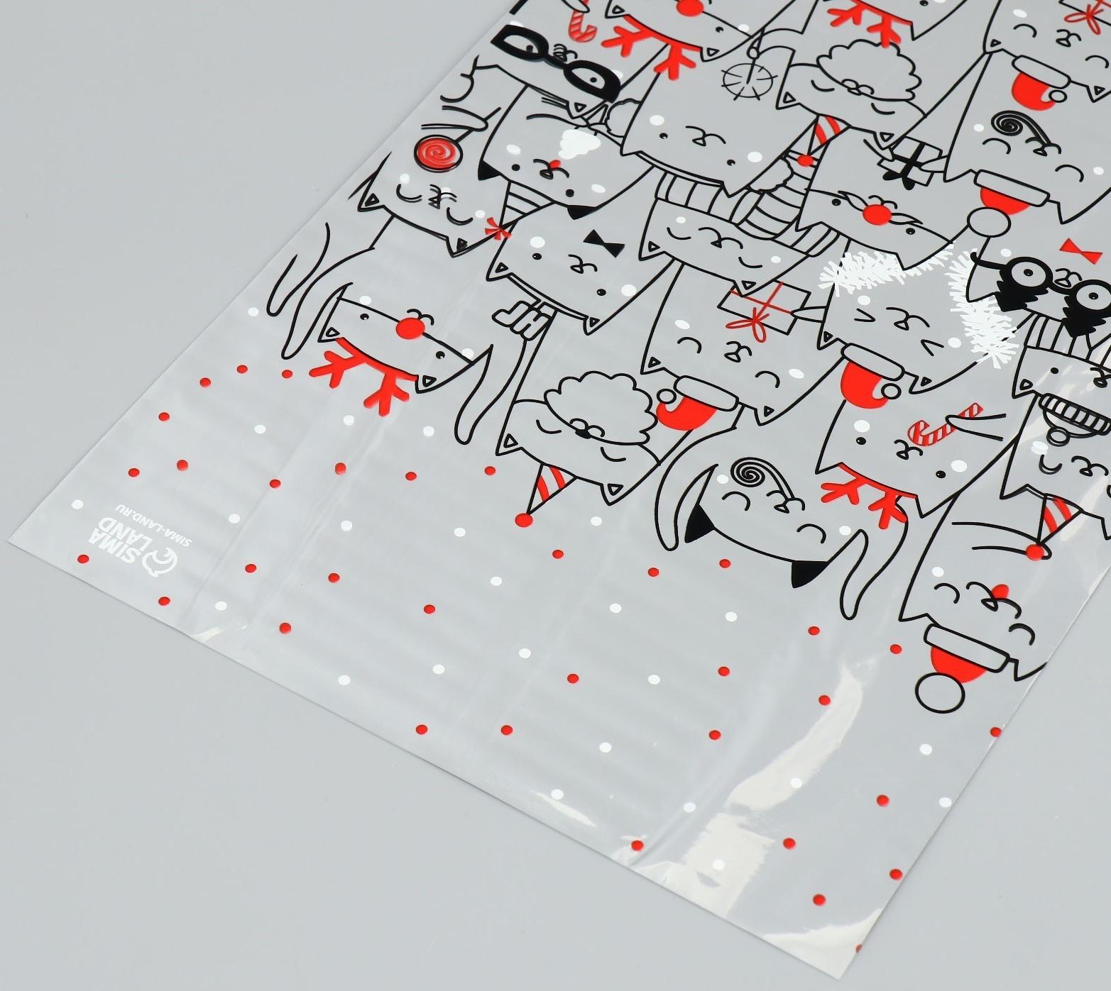 Пакет пластиковый «Киса», 20 × 30 см