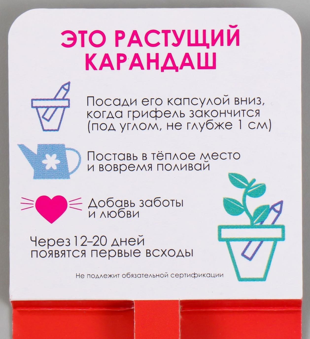 Растущие подарочные карандаши mini Действуй решительно 