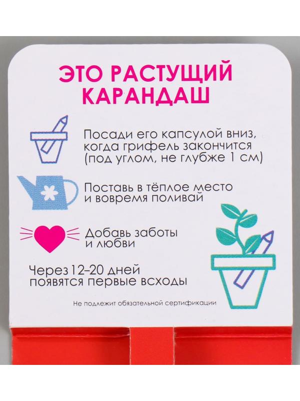 Растущие подарочные карандаши mini Действуй решительно 