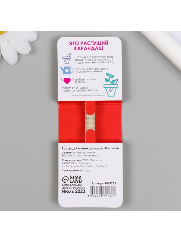 Растущие подарочные карандаши mini Действуй решительно 