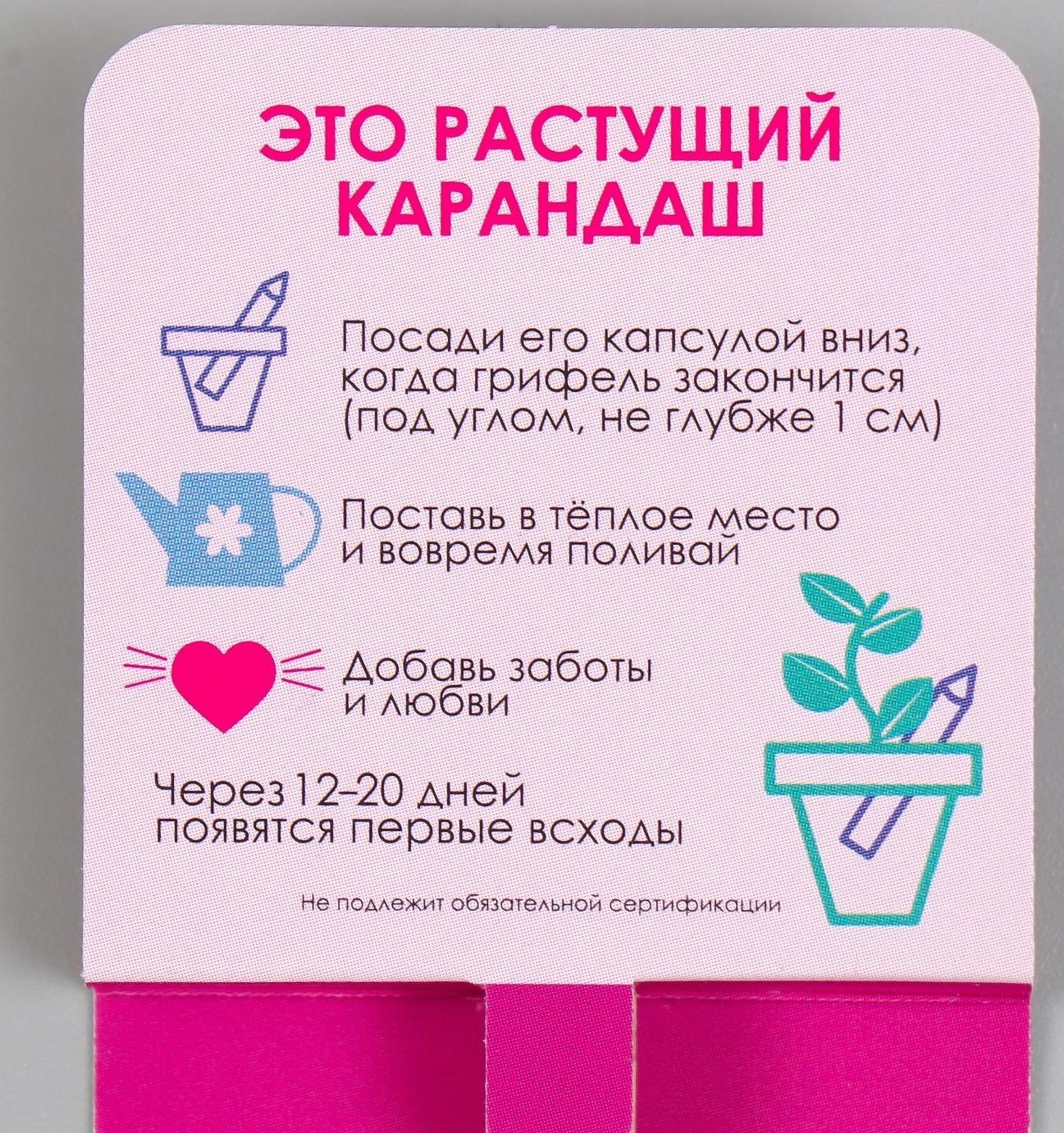 Растущие подарочные карандаши mini Вдохновение природы 