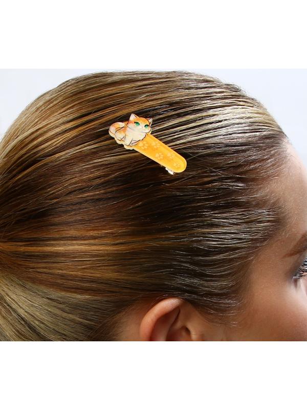 Заколка для волос 