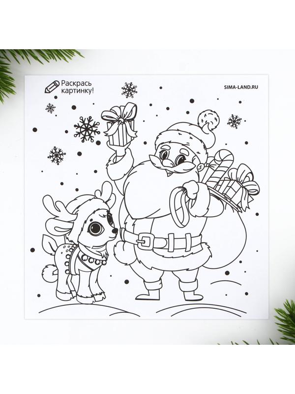 Письмо от Деда Мороза с раскраской «Мишутка», 22 х 15,3 см