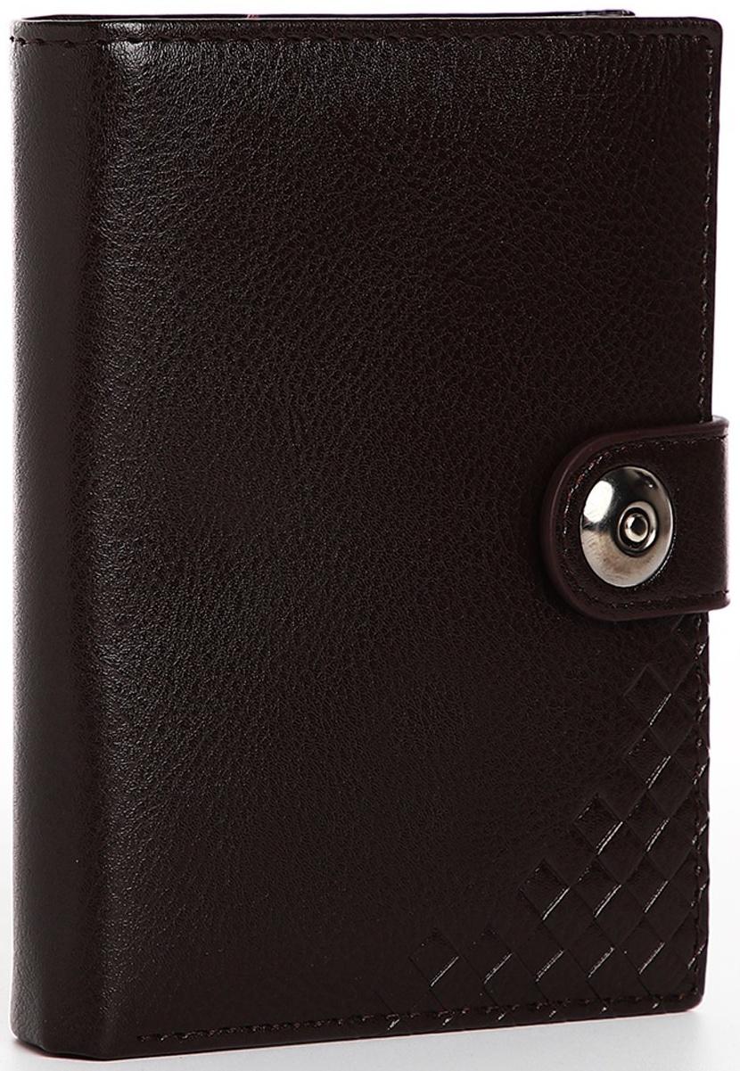 Портмоне мужское 3 в 1 на магните, для купюр, автодокументов и паспорта, цвет коричневый