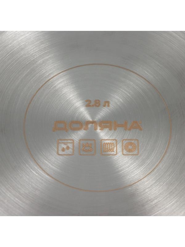 Кастрюля из нержавеющей стали «Грейт», с крышкой, 2,8 л, ТРС, индукция