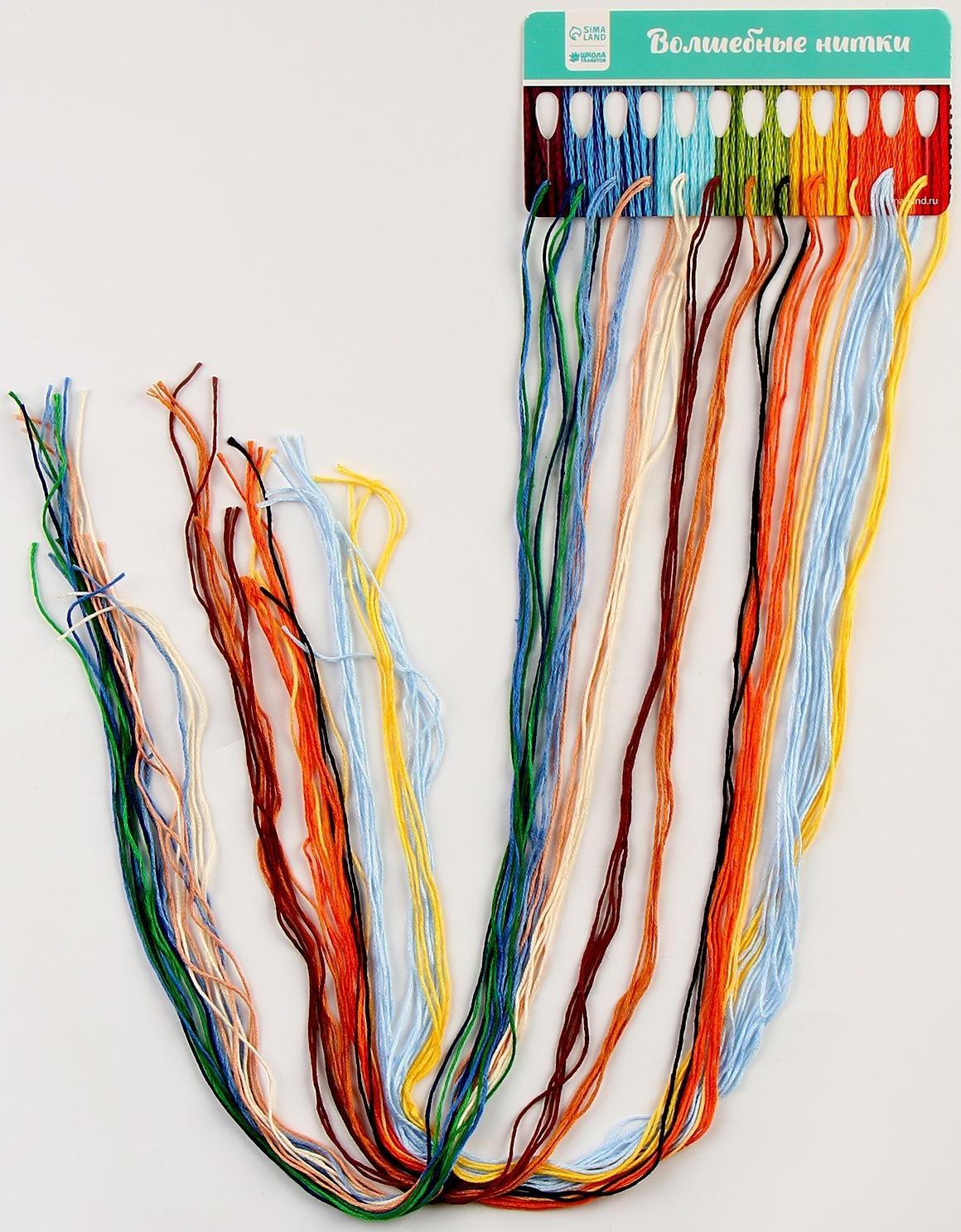 Вышивка крестиком на пластиковой канве «Великий художник»