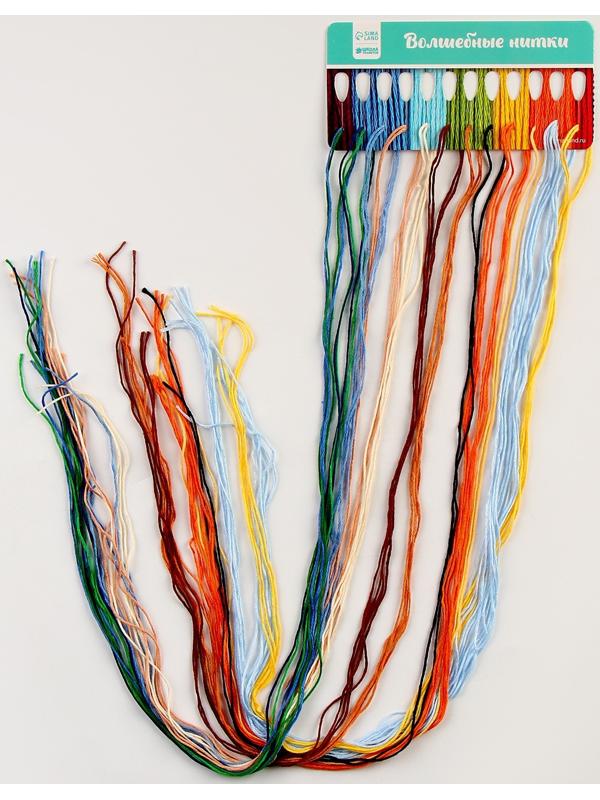 Вышивка крестиком на пластиковой канве «Великий художник»