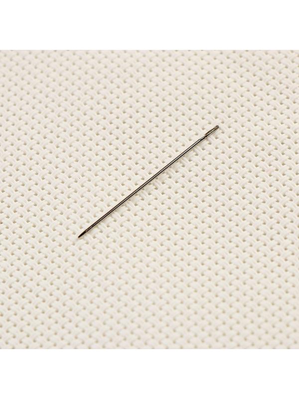 Вышивка крестиком на пластиковой канве «Великий художник»