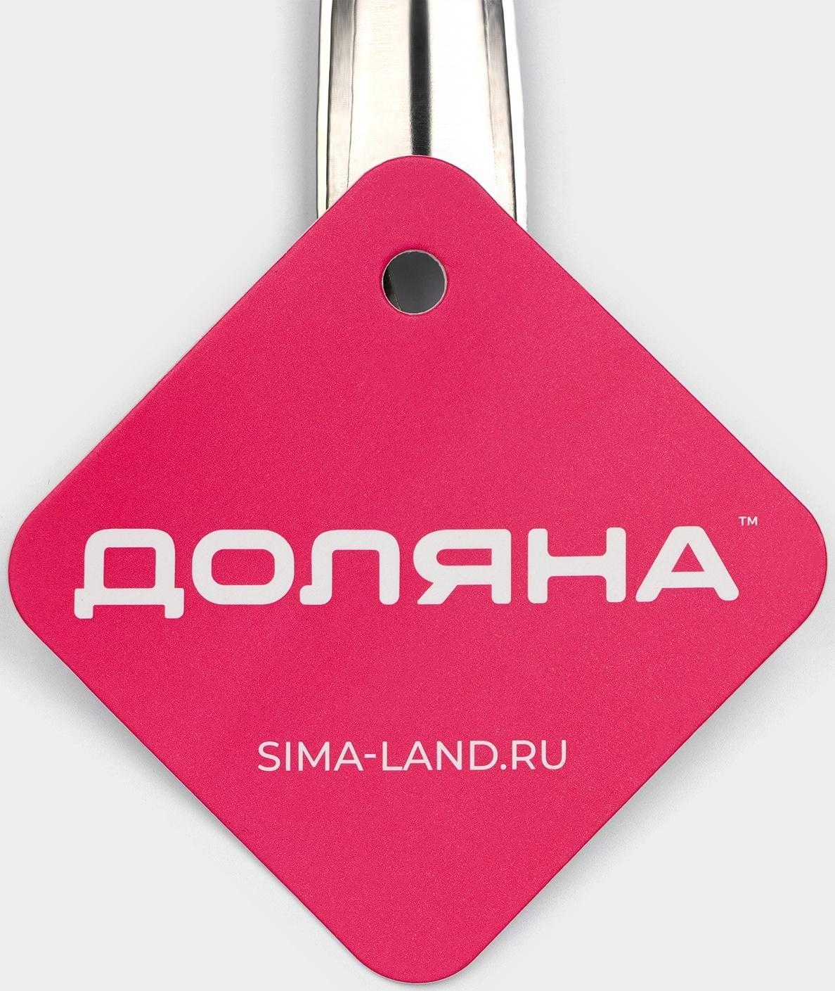 Набор сит Доляна «Металлик» для снятия пены, 3 штуки