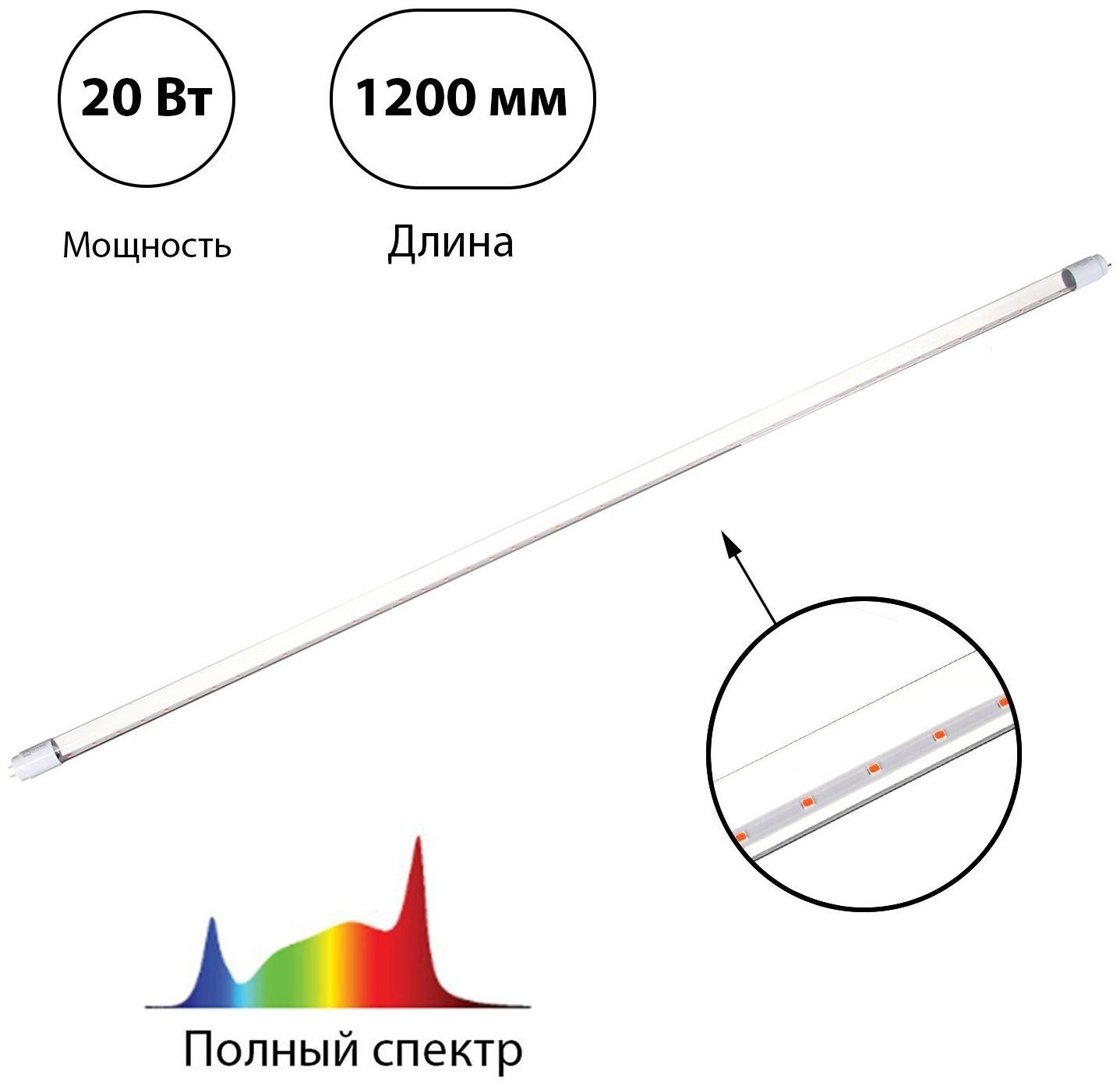 Фитолампа светодиодная, 20 Вт, 1200 мм, цоколь G13, полный спектр, LED-T8-FITO, IN HOME