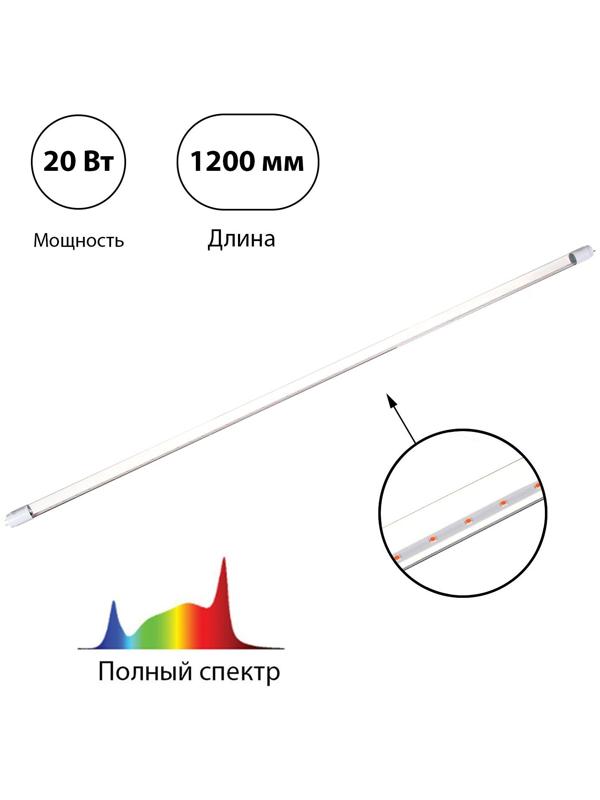 Фитолампа светодиодная, 20 Вт, 1200 мм, цоколь G13, полный спектр, LED-T8-FITO, IN HOME