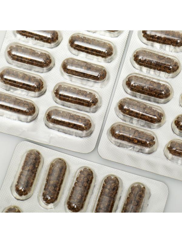 Концентрат на растительном сырье Вешенка с галегой 30 капсул по 500 мг