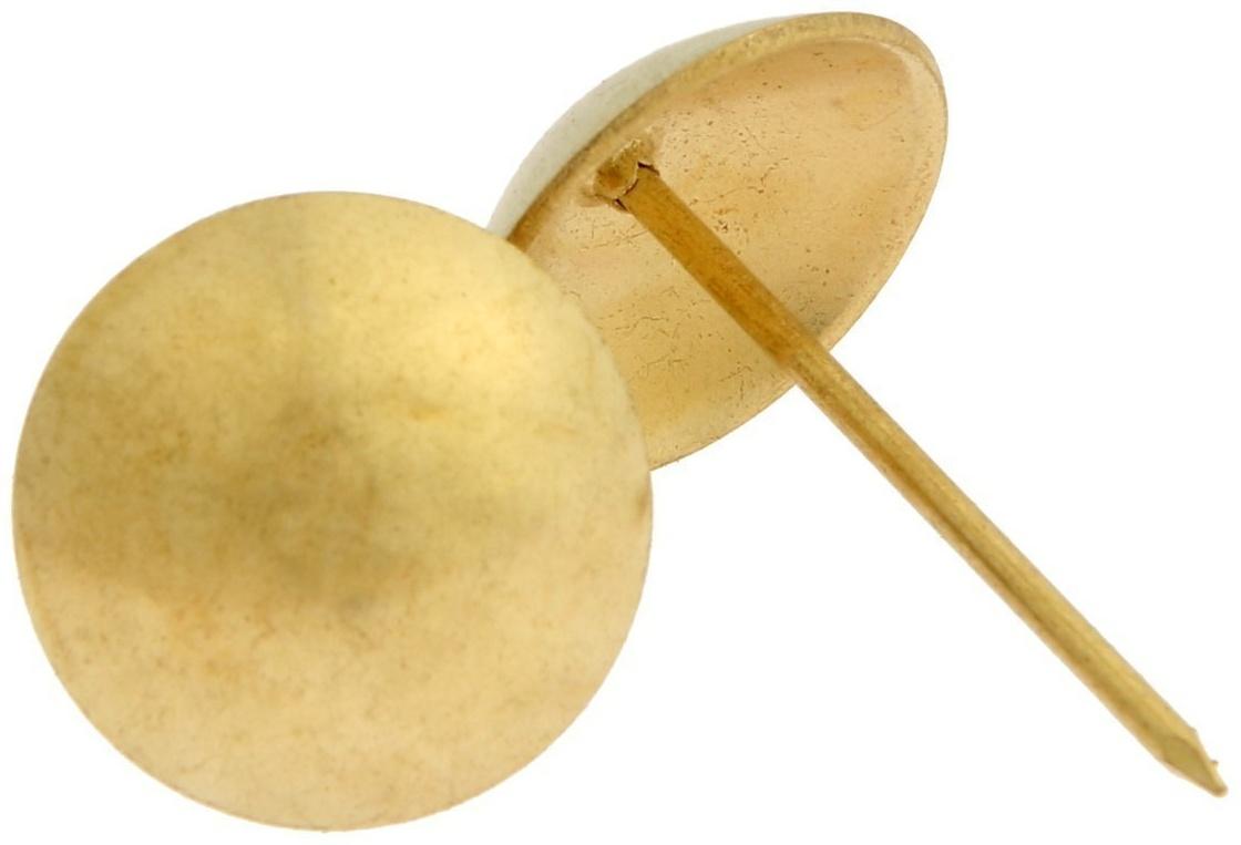 Гвозди ТУНДРА, декоративные, 25х39 мм, золото, 100 шт