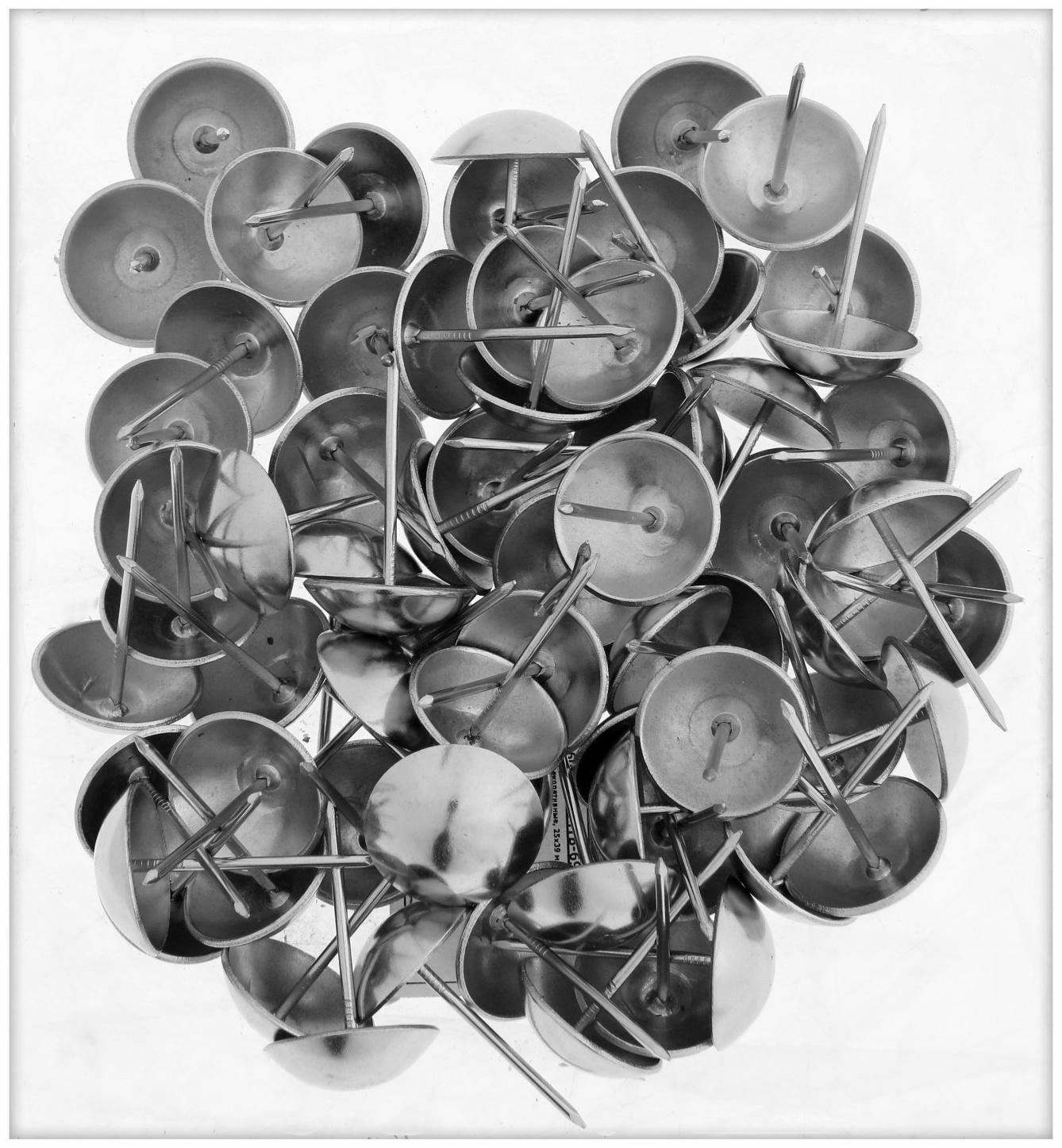 Гвозди ТУНДРА, декоративные, 25х39 мм, хром, 100 шт