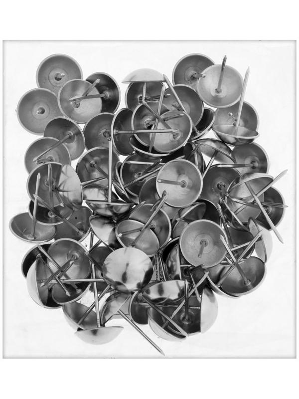 Гвозди ТУНДРА, декоративные, 25х39 мм, хром, 100 шт