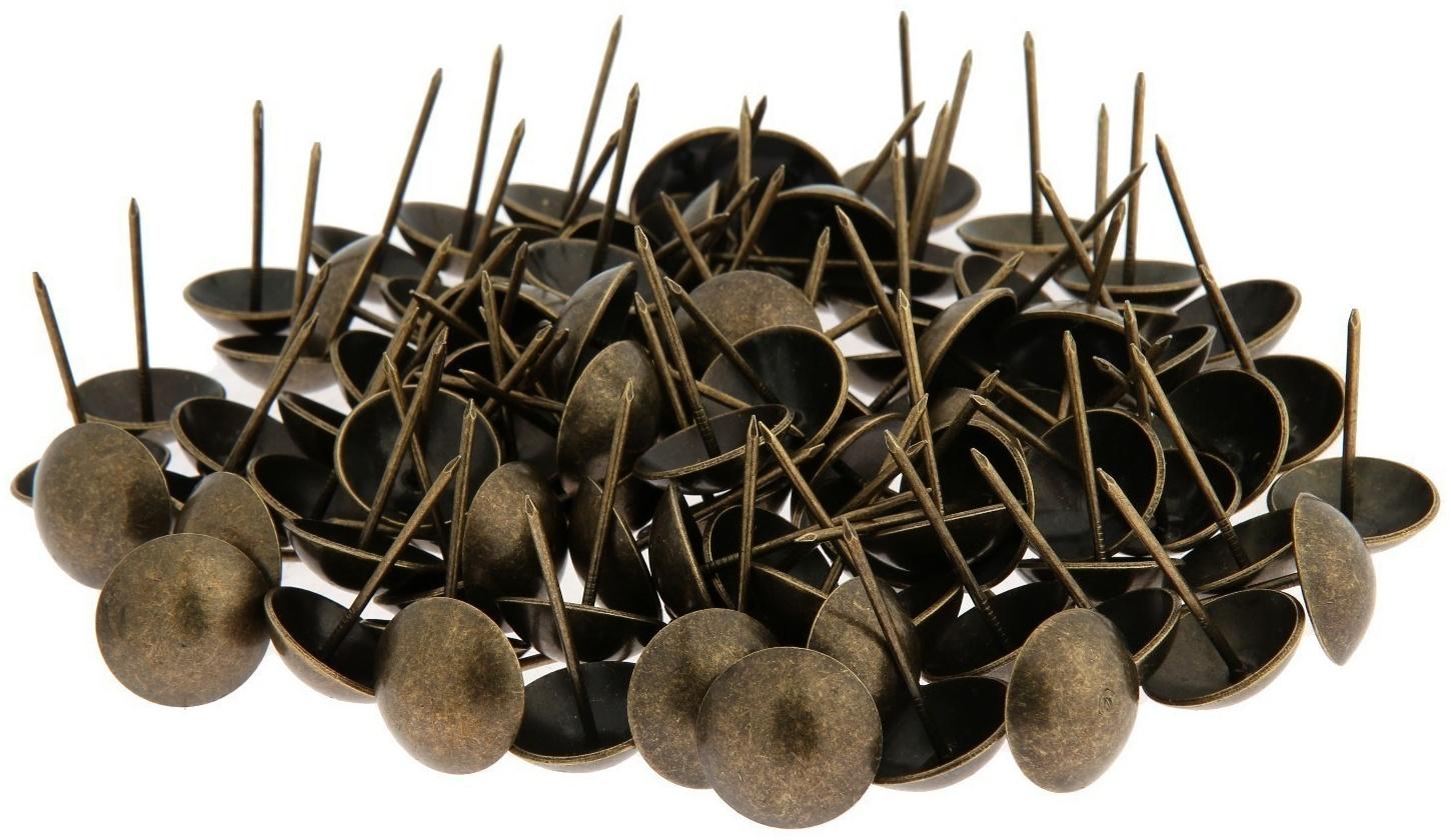 Гвозди ТУНДРА, декоративные, 25х39 мм, бронза, 100 шт