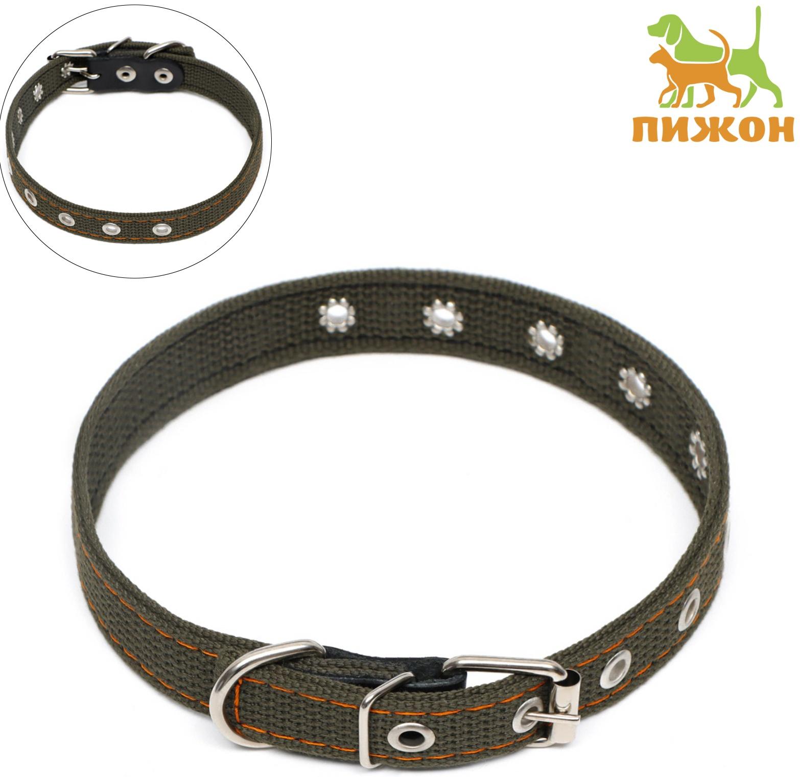Ошейник брезентовый безразмерный двухслойный, 50 х 2 см, ОШ 22-46 см