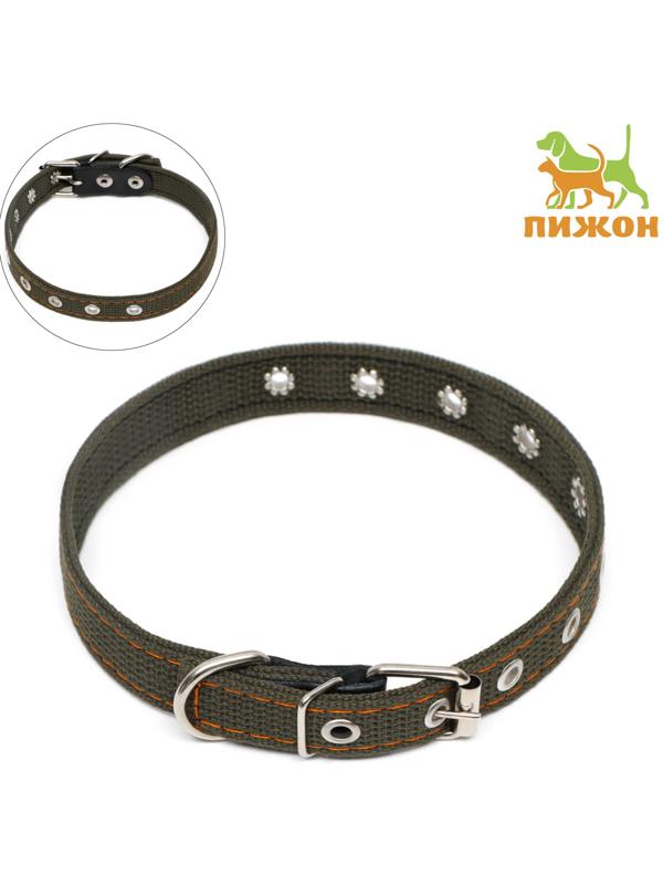 Ошейник брезентовый безразмерный двухслойный, 50 х 2 см, ОШ 22-46 см