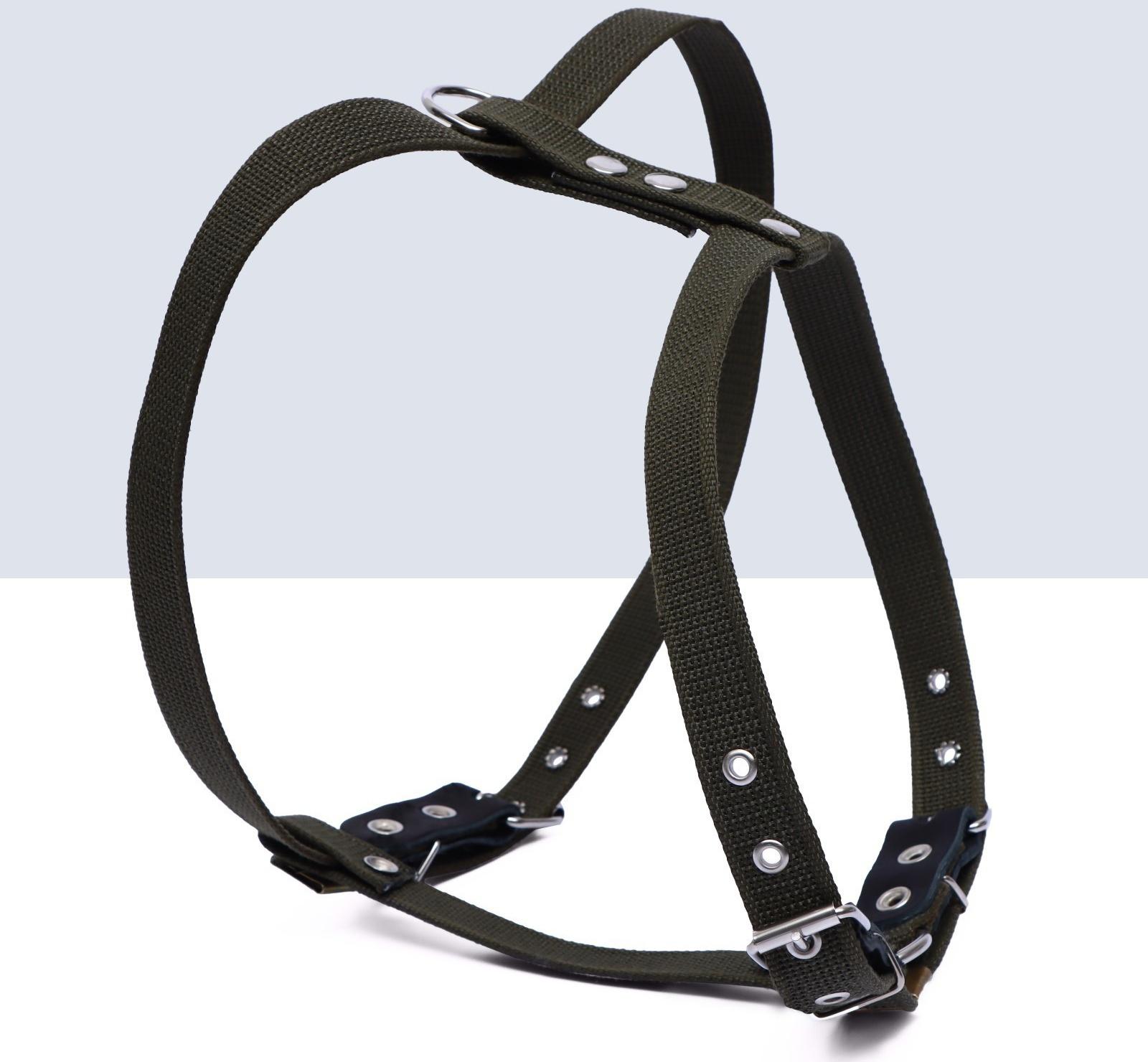 Шлейка брезентовая 