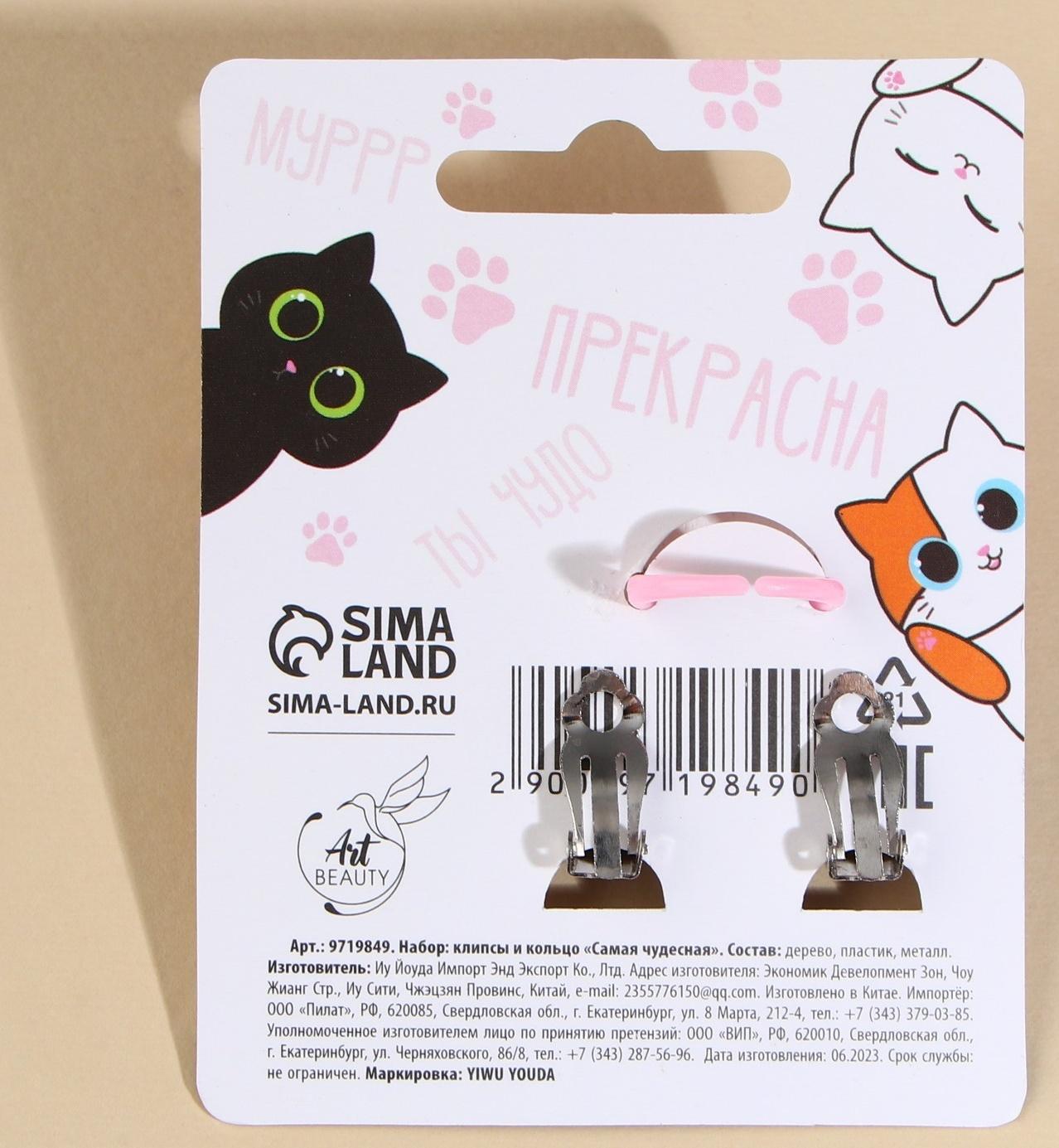 Набор клипсы и кольцо 