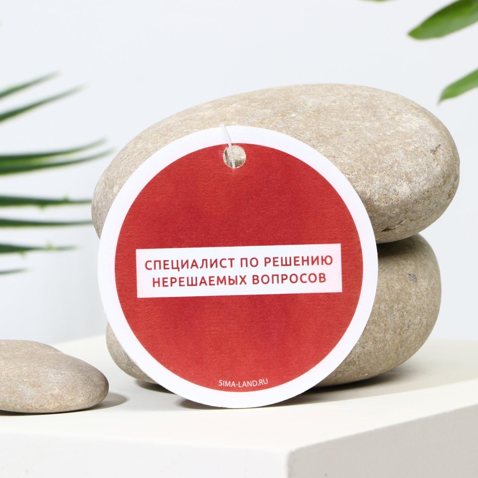 Ароматизатор в авто «Специалист», аромат: черри