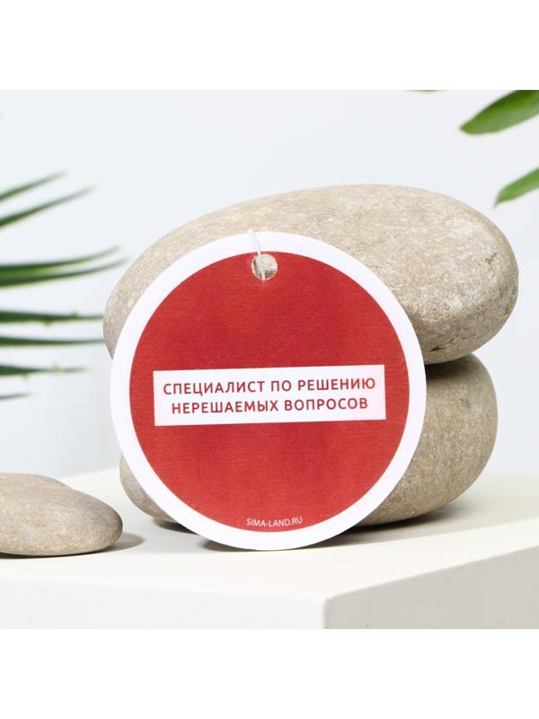 Ароматизатор в авто «Специалист», аромат: черри