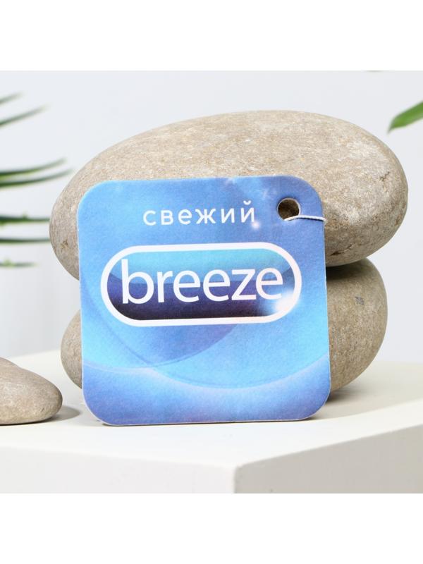 Ароматизатор в авто «Extra свежесть», аромат: бриз