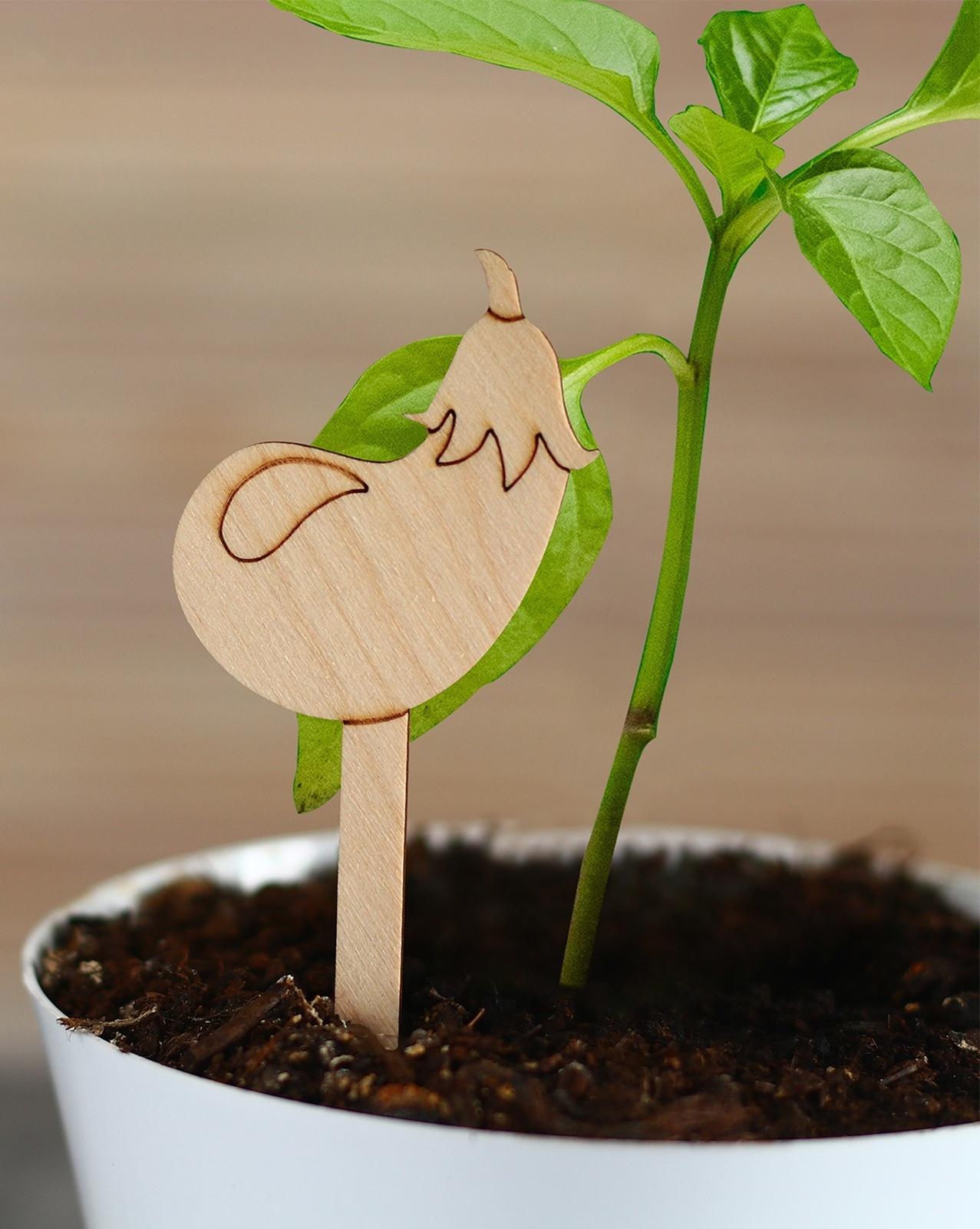 Таблички садовые для маркировки, 12 см, набор 8 шт., дерево, «Баклажан», Greengo