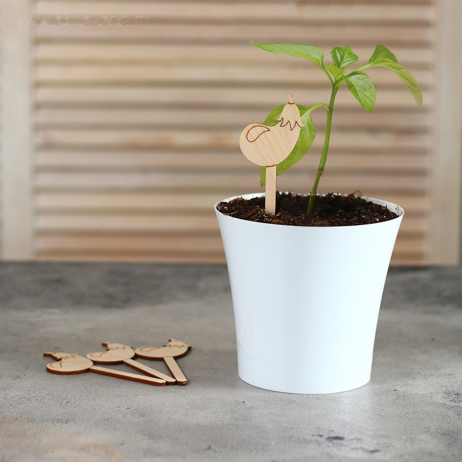 Таблички садовые для маркировки, 12 см, набор 8 шт., дерево, «Баклажан», Greengo