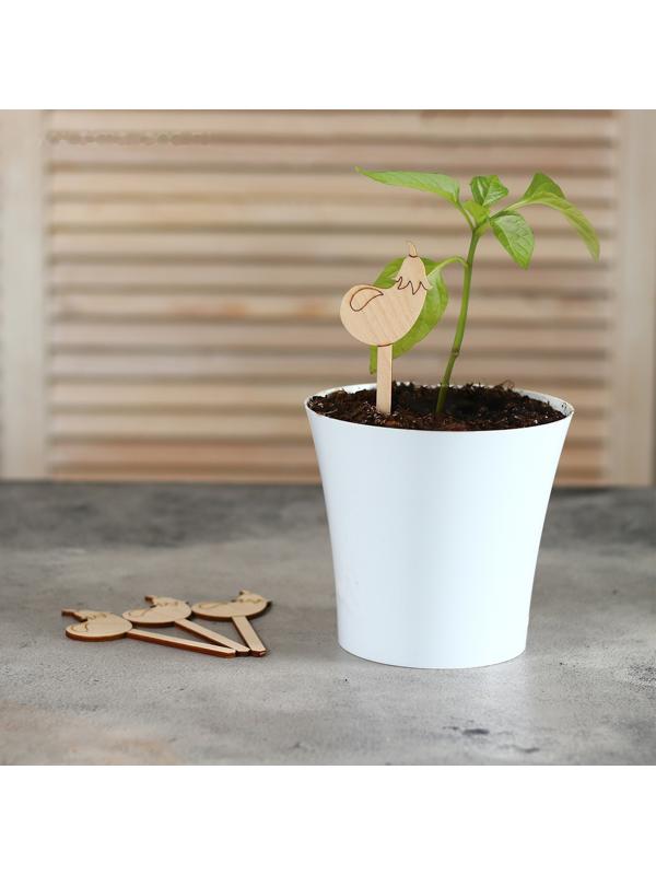 Таблички садовые для маркировки, 12 см, набор 8 шт., дерево, «Баклажан», Greengo