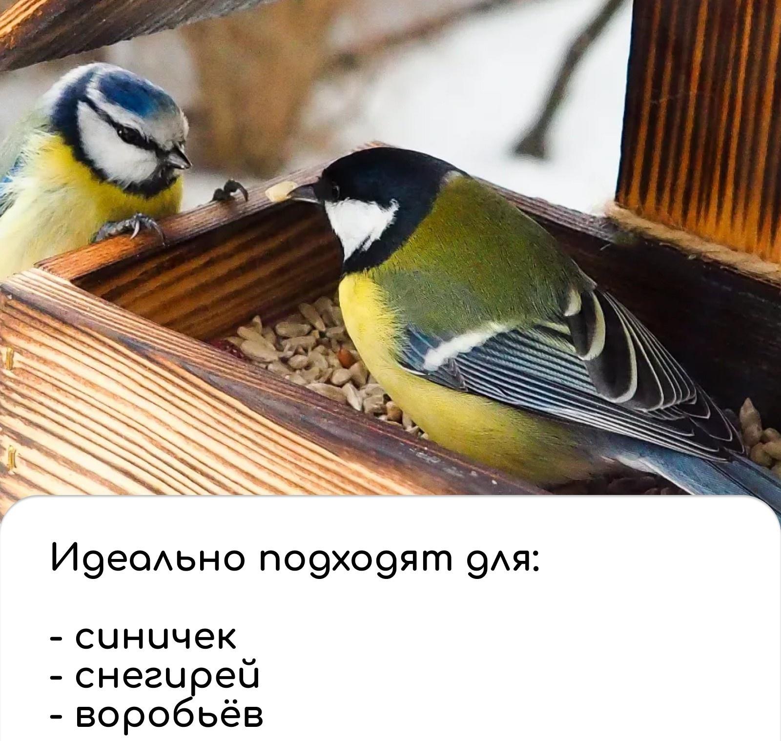 Кормушка из дерева своими руками «Новогодний дракон», 14.5 × 14.5 × 17.5 см, Greengo